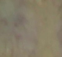 a close up of a cat on a wall