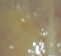 a close up of a person's mouth